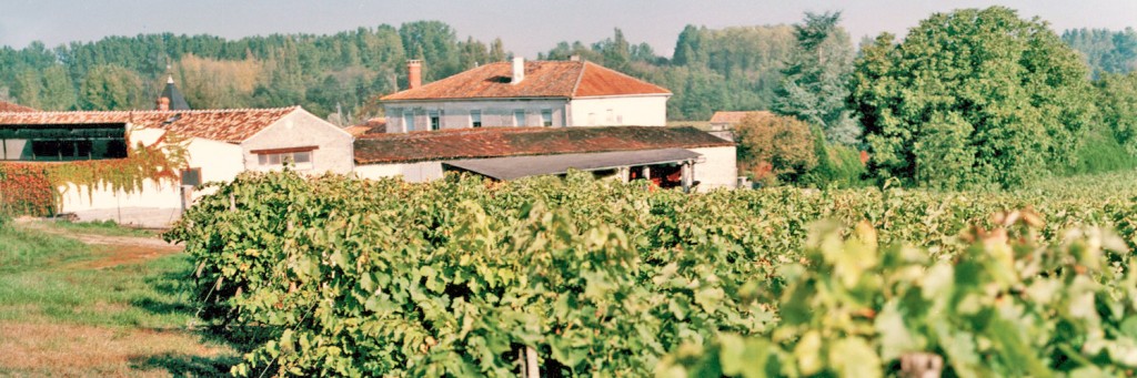 cognac-peyrot-grande-champagne