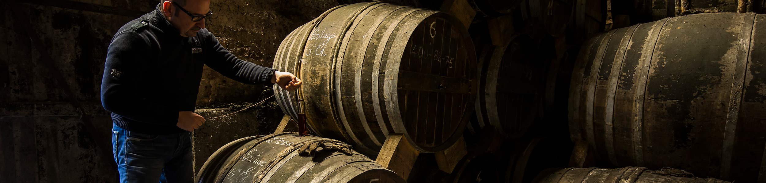 Vignoble des Bergeronnettes — photo 4